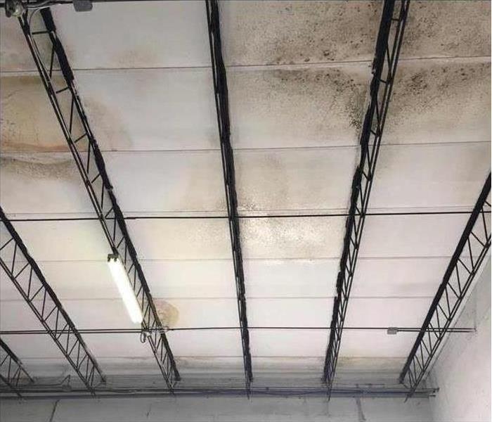Mold on a warehouse ceiling