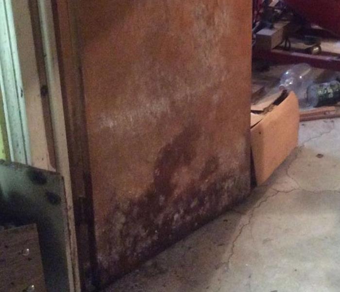 Mold climbing up side of cabinet.